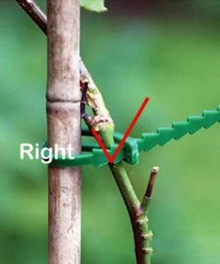 BAICCCF 50 Pcs Lien Pour Végétaux Réutilisable Plant Support Ties Réglable Plante Twist Tie Jardin Outil 13 CM -Accessoire de culture Soldes Boutique 60740847 5