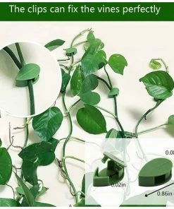 BAICCCF Tuteur Pour Végétaux 40 Pièces Greffoir Et Pince à Greffer Clips De Fixation Murale D'Escalade De Plantes,Support De Clips Muraux De Vigne De Plante, Support Invisible De Traction De Vignes à -Accessoire de culture Soldes Boutique 60740850 3