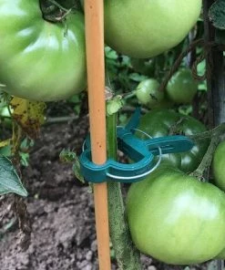 BAICCCF 80 PCS Greffoir Et Pince à Greffer Clips De Plantes Clips Pour Cage De Tomate, Tomates Clips Clips De Support De Plantes Pour Piquets De Bambou, Plantes Grimpantes, Vignes 10 BAICCCF 80 PCS Greffoir Et Pince à Greffer Clips De Plantes Clips Pour Cage De Tomate, Tomates Clips Clips De Support De Plantes Pour Piquets De Bambou, Plantes Grimpantes, Vignes -Accessoire de culture Soldes Boutique 60740853 4