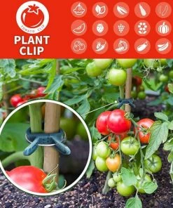 BAICCCF Lot De 40 Greffoir Et Pince à Greffer Clips De Jardin Pour Cage à Tomates, Clips De Tomates, Clips De Support Pour Piquets De Bambou, Plantes Grimpantes, Vignes 10 BAICCCF Lot De 40 Greffoir Et Pince à Greffer Clips De Jardin Pour Cage à Tomates, Clips De Tomates, Clips De Support Pour Piquets De Bambou, Plantes Grimpantes, Vignes -Accessoire de culture Soldes Boutique 60740968 4