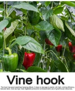 BAICCCF Tuteur Pour Végétaux 10PCS 10M Greffoir Et Pince à Greffer, Ficelle Flexible De Type V De Cerise De Fruits Sur Le Crochet, Outil De Support De Cravate De Vigne De Plante De Fer Pour Légumes De Fleur -Accessoire de culture Soldes Boutique 60740996 3