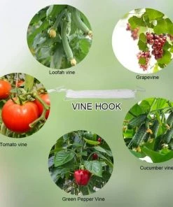 BAICCCF Tuteur Pour Végétaux 10PCS 10M Greffoir Et Pince à Greffer, Ficelle Flexible De Type V De Cerise De Fruits Sur Le Crochet, Outil De Support De Cravate De Vigne De Plante De Fer Pour Légumes De Fleur -Accessoire de culture Soldes Boutique 60740996 5