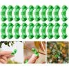 BAICCCF Tuteur Pour Végétaux 20 Clips De Formation De Tige De Plante Pour La Formation à Faible Stress Et La Formation De Flexion De Croissance Des Plantes -Accessoire de culture Soldes Boutique 60741007 1