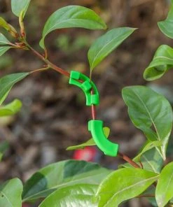 BAICCCF Tuteur Pour Végétaux 20 Clips De Formation De Tige De Plante Pour La Formation à Faible Stress Et La Formation De Flexion De Croissance Des Plantes -Accessoire de culture Soldes Boutique 60741007 4