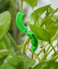 BAICCCF Tuteur Pour Végétaux 20 Clips De Formation De Tige De Plante Pour La Formation à Faible Stress Et La Formation De Flexion De Croissance Des Plantes -Accessoire de culture Soldes Boutique 60741007 5