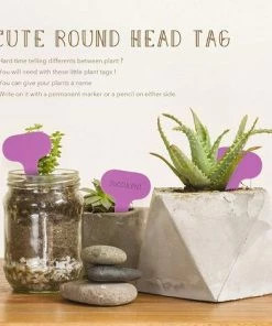 LangRay 100 étiquettes De Plantes De Type T étiquettes De Jardin Roses étiquettes Marqueurs De Plantes En Plastique Pour Herbes 6 X 10 Cm -Accessoire de culture Soldes Boutique 61164337 4