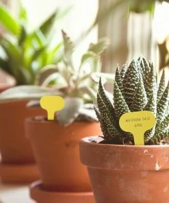 LangRay 100 étiquettes De Plantes De Type T étiquettes De Jardin Jaunes étiquettes Marqueurs De Plantes En Plastique Pour Herbes 5 X 7 Cm -Accessoire de culture Soldes Boutique 61164352 3