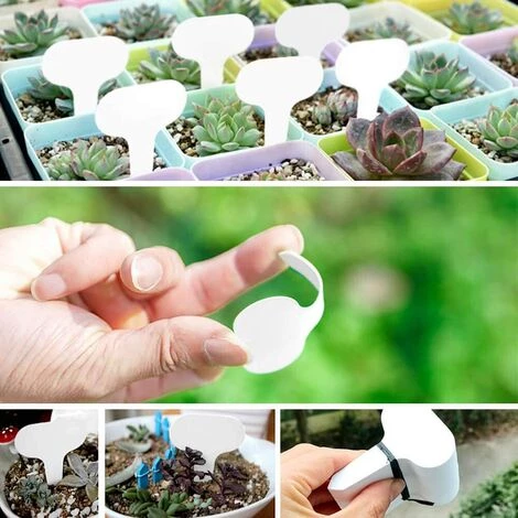 LangRay 100 étiquettes De Plantes De Type T étiquettes De Jardin Blanches étiquettes Marqueurs De Plantes En Plastique Pour Herbes 6 X 10 Cm 5 LangRay 100 étiquettes De Plantes De Type T étiquettes De Jardin Blanches étiquettes Marqueurs De Plantes En Plastique Pour Herbes 6 X 10 Cm – Image 3