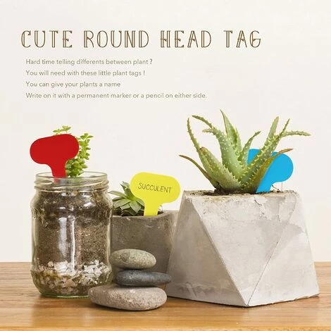 LangRay 100 étiquettes De Plantes De Type T étiquettes De Jardin Rouges étiquettes Marqueurs De Plantes En Plastique Pour Herbes 5 X 7 Cm 5 LangRay 100 étiquettes De Plantes De Type T étiquettes De Jardin Rouges étiquettes Marqueurs De Plantes En Plastique Pour Herbes 5 X 7 Cm – Image 3