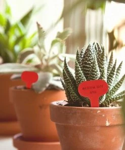 LangRay 100 étiquettes De Plantes De Type T étiquettes De Jardin Rouges étiquettes Marqueurs De Plantes En Plastique Pour Herbes 6 X 10 Cm -Accessoire de culture Soldes Boutique 61164579 4