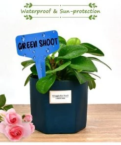 EINEMGELD 100Pcs Étiquettes De Plantes Durables, T-Type Étiquettes Plantes Étiquettes De Jardin Imperméable, Plastique Garden Etiquettes Signes Pour Fleur Légumes Graine Jardin Pépinière 6 X 10cm (Bleu) 9 EINEMGELD 100Pcs Étiquettes De Plantes Durables, T-Type Étiquettes Plantes Étiquettes De Jardin Imperméable, Plastique Garden Etiquettes Signes Pour Fleur Légumes Graine Jardin Pépinière 6 X 10cm (Bleu) -Accessoire de culture Soldes Boutique 61194405 4