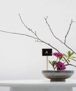 EINEMGELD Lot De 10 Mini Ardoises Jardin Fleurs Et Plantes étiquettes -Accessoire de culture Soldes Boutique 61195063 4