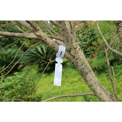 MEZHENG 200pièces 21X2CM étiquette De Jardinage étiquette En Plastique étiquette Suspendue Etiquette Potager, Blanc 7 MEZHENG 200pièces 21X2CM étiquette De Jardinage étiquette En Plastique étiquette Suspendue Etiquette Potager, Blanc – Image 5