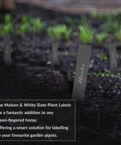 MEZHENG Ensemble De 20 Marqueurs Et Craies De Jardin En Ardoise | Étiquettes De Plantes De Jardin | Marqueurs D'herbes | Accessoires De Serre | Enjeux De Jardin | Tableau Extérieur -Accessoire de culture Soldes Boutique 61309590 2