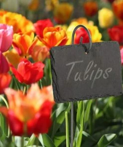 MEZHENG Ensemble De 10 étiquettes De Plantes En Ardoise Et Ardoise | Marqueurs De Plantes De Jardin | Étiquettes D'herbes | Accessoires De Serre | M&W -Accessoire de culture Soldes Boutique 61309600 2