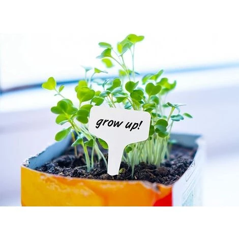 SLI-RES Etiquette De Plante Semis Etiquette Jardin Potager Plantation étanche Plastique Exterieur 10*6cm (Blanc)100 Pieces,Lilaris 6 SLI-RES Etiquette De Plante Semis Etiquette Jardin Potager Plantation étanche Plastique Exterieur 10*6cm (Blanc)100 Pieces,Lilaris – Image 4