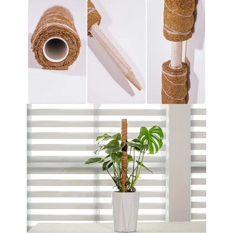 EAUDACè 2 Pièces Tuteur Plante,Tuteur Coco, Poteau De Coco, Bâton De Coco Pour La Maison Jardin Plante Grimpantes Extension De Support De Plante 4 EAUDACè 2 Pièces Tuteur Plante,Tuteur Coco, Poteau De Coco, Bâton De Coco Pour La Maison Jardin Plante Grimpantes Extension De Support De Plante – Image 2