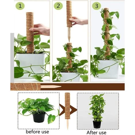 EAUDACè 2 Pièces Tuteur Plante,Tuteur Coco, Poteau De Coco, Bâton De Coco Pour La Maison Jardin Plante Grimpantes Extension De Support De Plante 5 EAUDACè 2 Pièces Tuteur Plante,Tuteur Coco, Poteau De Coco, Bâton De Coco Pour La Maison Jardin Plante Grimpantes Extension De Support De Plante – Image 3