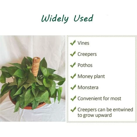 EAUDACè 2 Pièces Tuteur Plante,Tuteur Coco, Poteau De Coco, Bâton De Coco Pour La Maison Jardin Plante Grimpantes Extension De Support De Plante 6 EAUDACè 2 Pièces Tuteur Plante,Tuteur Coco, Poteau De Coco, Bâton De Coco Pour La Maison Jardin Plante Grimpantes Extension De Support De Plante – Image 4