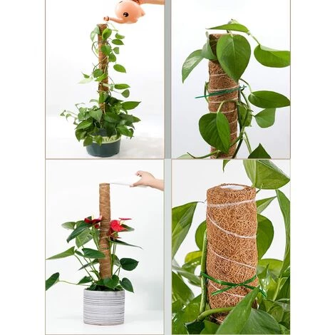 EAUDACè 2 Pièces Tuteur Plante,Tuteur Coco, Poteau De Coco, Bâton De Coco Pour La Maison Jardin Plante Grimpantes Extension De Support De Plante 7 EAUDACè 2 Pièces Tuteur Plante,Tuteur Coco, Poteau De Coco, Bâton De Coco Pour La Maison Jardin Plante Grimpantes Extension De Support De Plante – Image 5