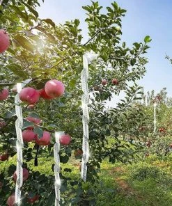 DECKON Bande Repulsive Effaroucheur D'oiseaux, Ruban Réfléchissant Dissuasif ​pour Les Oiseaux,Ruban Anti-Oiseaux ​Réfléchissant,Bande Répulsive Anti Oiseaux,Anti-Oiseaux Effraie Les Oiseaux -Accessoire de culture Soldes Boutique 61651844 4