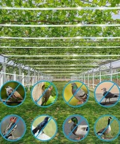 DECKON Bande Repulsive Effaroucheur D'oiseaux, Ruban Réfléchissant Dissuasif ​pour Les Oiseaux,Ruban Anti-Oiseaux ​Réfléchissant,Bande Répulsive Anti Oiseaux,Anti-Oiseaux Effraie Les Oiseaux -Accessoire de culture Soldes Boutique 61651844 5