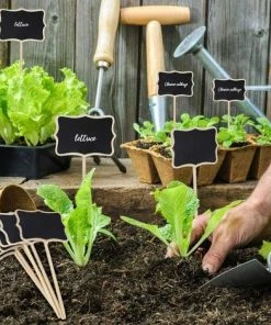 ROSIER Étiquette De Jardin 30 Pieces T-Type Étiquettes Plantes En Boi Imperméable Etiquettes De Plantes En Ardoise Pour Jardin Graines Arbres Herbes Fleurs,VEBTles -Accessoire de culture Soldes Boutique 61662220 3