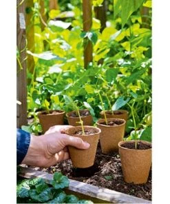 ROMBERG 18 Dummies 8 Cm Rond -Accessoire de culture Soldes Boutique 62157450 3