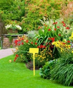 EAUDACè Lot De 10 étiquettes Pour Plantes En Plastique, Etiquette Jardin 30 Cm Pour Pour La Maison, Le Jardin, Le Parc -Accessoire de culture Soldes Boutique 63577467 5