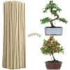 SLBRILLèRE Canne De Bambou 100 Pieces Jardin De Canne Piquet De Jardin Baton De Bambou Support De Plante De Bâtons Support Végétal De Bricolage Bâtons(3mm*20CM) -Accessoire de culture Soldes Boutique 63665684 1