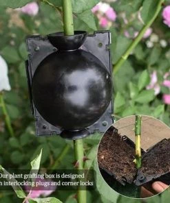 SINCèREETALI Boîte D'enracinement De Plantes 6 Pièces, Boîte De Culture D'enracinement De Plantes, Dispositif De Greffe De Billes De Propagation à Haute Pression Pour Greffe De Jardin (S、M、L) -Accessoire de culture Soldes Boutique 63820269 4