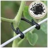 SINCèREETALI 100 Pièces Vignes Cravate Attachée Boucle Crochet Plante Légume Greffe Clips Agricole Serre Fournitures 1 SINCèREETALI 100 Pièces Vignes Cravate Attachée Boucle Crochet Plante Légume Greffe Clips Agricole Serre Fournitures -Accessoire de culture Soldes Boutique 63820355 1