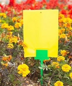 MEZHENG Un Ensemble De 30 étiquettes En Plastique Pour Les Graines De Plantes De Fleurs De Jardin -Accessoire de culture Soldes Boutique 64119154 4