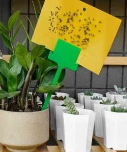 SLI-RES Un Ensemble De 20 étiquettes En Plastique Pour Les Graines De Plantes De Fleurs De Jardin Fleurs, Légumes, Herbes, Jaunes Pour La Maison, Le Jardin, Le Parc-Lilaris -Accessoire de culture Soldes Boutique 64124640 4