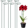 ARC-EN-CIéL 6 PCS Végétaux Piquets De Support De Plante Piquets De Support De Plante à Tige Unique Piquets De Plante De Jardin Tuteur Plante Tuteurs Pour Plantes Fleur Rose Tomate Lys Pivoine-Arcenciél (40cm) 2 ARC-EN-CIéL 6 PCS Végétaux Piquets De Support De Plante Piquets De Support De Plante à Tige Unique Piquets De Plante De Jardin Tuteur Plante Tuteurs Pour Plantes Fleur Rose Tomate Lys Pivoine-Arcenciél (40cm) -Accessoire de culture Soldes Boutique 64126071 1