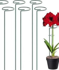 ARC-EN-CIéL 6 PCS Végétaux Piquets De Support De Plante Piquets De Support De Plante à Tige Unique Piquets De Plante De Jardin Tuteur Plante Tuteurs Pour Plantes Fleur Rose Tomate Lys Pivoine-Arcenciél (40cm)