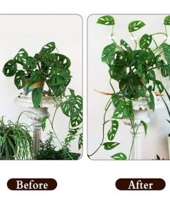 ARC-EN-CIéL Clips De Support Plante Grimpante 100 Pcs Clips De Vigne Auto-adhésifs Crochet Plante Mur Vigne Invisible Fixateur Mural Support Pour Plantes Blanc Pour Jardin Vignes Organisation Des Fils-PP, Arcenciél 9 ARC-EN-CIéL Clips De Support Plante Grimpante 100 Pcs Clips De Vigne Auto-adhésifs Crochet Plante Mur Vigne Invisible Fixateur Mural Support Pour Plantes Blanc Pour Jardin Vignes Organisation Des Fils-PP, Arcenciél -Accessoire de culture Soldes Boutique 64127724 3