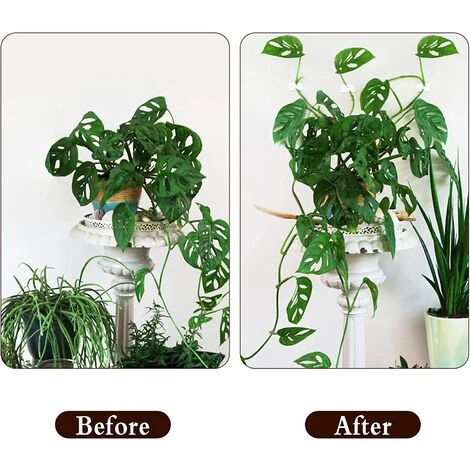 ARC-EN-CIéL Clips De Support Plante Grimpante 100 Pcs Clips De Vigne Auto-adhésifs Crochet Plante Mur Vigne Invisible Fixateur Mural Support Pour Plantes Blanc Pour Jardin Vignes Organisation Des Fils-PP, Arcenciél 5 ARC-EN-CIéL Clips De Support Plante Grimpante 100 Pcs Clips De Vigne Auto-adhésifs Crochet Plante Mur Vigne Invisible Fixateur Mural Support Pour Plantes Blanc Pour Jardin Vignes Organisation Des Fils-PP, Arcenciél – Image 3