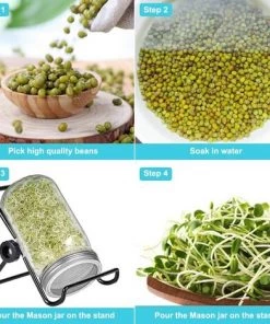 FR-LIFE BR-Vie Kit De 6Pcs Couvercles Germination Avec 4Pcs Couvercle à Germer Écran En Acier Inoxydable Et 2Pcs Supports De Germination Pour Graines à Germoir -Accessoire de culture Soldes Boutique 64131602 5