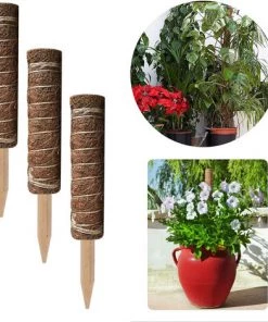 HEGUYEY 2 Pièces Tuteur Plante,Tuteur Coco, Poteau De Coco, Bâton De Coco Pour La Maison Jardin Plante Grimpantes Extension De Support De Plante 9 HEGUYEY 2 Pièces Tuteur Plante,Tuteur Coco, Poteau De Coco, Bâton De Coco Pour La Maison Jardin Plante Grimpantes Extension De Support De Plante -Accessoire de culture Soldes Boutique 64148212 4
