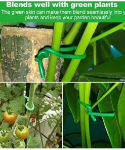 MèREÉTERNEL 2Pcs Fil De Fer Jardin 3.5mm*8m Attache Plante Lien De Tuteurage Souple Fil Jardinage Vert Liens De Jardinage Pour Ligatures Attaches D'arbre Avec Couverture En Caoutchouc Lien Pour Végétaux Ternel -Accessoire de culture Soldes Boutique 64171919 4