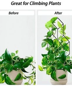 HAZEL Treillis De Jardin En Métal Pour Plantes Grimpantes, Support De Plantes En Fer Pour Vigne Grimpante. -Accessoire de culture Soldes Boutique 64197425 3