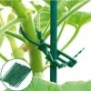 BF Green Gardening Tie Wrap Plant Pot Mark Garden Tool Vine Fix -Accessoire de culture Soldes Boutique 64397162 1