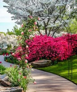 Relaxdays Arche à Rosiers En Métal, Portail De Jardin, HxLxP : 233 X 172 X 35 Cm, Rétro, Tuteur Plantes Grimpantes, Noir 9 Relaxdays Arche à Rosiers En Métal, Portail De Jardin, HxLxP : 233 X 172 X 35 Cm, Rétro, Tuteur Plantes Grimpantes, Noir -Accessoire de culture Soldes Boutique 64506604 3