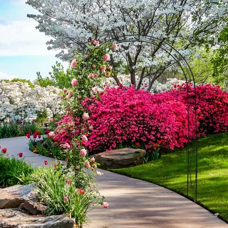 Relaxdays Arche à Rosiers En Métal, Portail De Jardin, HxLxP : 233 X 172 X 35 Cm, Rétro, Tuteur Plantes Grimpantes, Noir 5 Relaxdays Arche à Rosiers En Métal, Portail De Jardin, HxLxP : 233 X 172 X 35 Cm, Rétro, Tuteur Plantes Grimpantes, Noir – Image 3