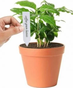 Dontodent Etiquette Potager En Plastique Multicolore (Lot De 500) - 10 X 2 Cm - Pancarte Jardin Potager/Etiquette Jardin Imperméable En 5 Couleurs Pour Pépinière, Semences, Plantes Et Herbes，Superma -Accessoire de culture Soldes Boutique 64615315 3