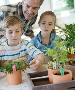 Dontodent Etiquette Potager En Plastique Multicolore (Lot De 500) - 10 X 2 Cm - Pancarte Jardin Potager/Etiquette Jardin Imperméable En 5 Couleurs Pour Pépinière, Semences, Plantes Et Herbes，Superma -Accessoire de culture Soldes Boutique 64615315 5