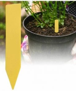Dontodent 200 Pièces En Plastique Plante Nom étiquette Fleur étiquette Marqueur Nom De La Graine Piquet étiquettes Pépinière Semis étiquettes Pour Jardin En Pot Herbes Fleurs Légumes(Jaune) 9 Dontodent 200 Pièces En Plastique Plante Nom étiquette Fleur étiquette Marqueur Nom De La Graine Piquet étiquettes Pépinière Semis étiquettes Pour Jardin En Pot Herbes Fleurs Légumes(Jaune) -Accessoire de culture Soldes Boutique 64860761 3