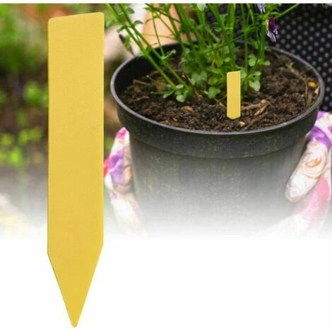 Dontodent 200 Pièces En Plastique Plante Nom étiquette Fleur étiquette Marqueur Nom De La Graine Piquet étiquettes Pépinière Semis étiquettes Pour Jardin En Pot Herbes Fleurs Légumes(Jaune) 5 Dontodent 200 Pièces En Plastique Plante Nom étiquette Fleur étiquette Marqueur Nom De La Graine Piquet étiquettes Pépinière Semis étiquettes Pour Jardin En Pot Herbes Fleurs Légumes(Jaune) – Image 3