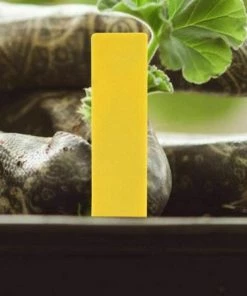 Dontodent 200 Pièces En Plastique Plante Nom étiquette Fleur étiquette Marqueur Nom De La Graine Piquet étiquettes Pépinière Semis étiquettes Pour Jardin En Pot Herbes Fleurs Légumes(Jaune) 10 Dontodent 200 Pièces En Plastique Plante Nom étiquette Fleur étiquette Marqueur Nom De La Graine Piquet étiquettes Pépinière Semis étiquettes Pour Jardin En Pot Herbes Fleurs Légumes(Jaune) -Accessoire de culture Soldes Boutique 64860761 4